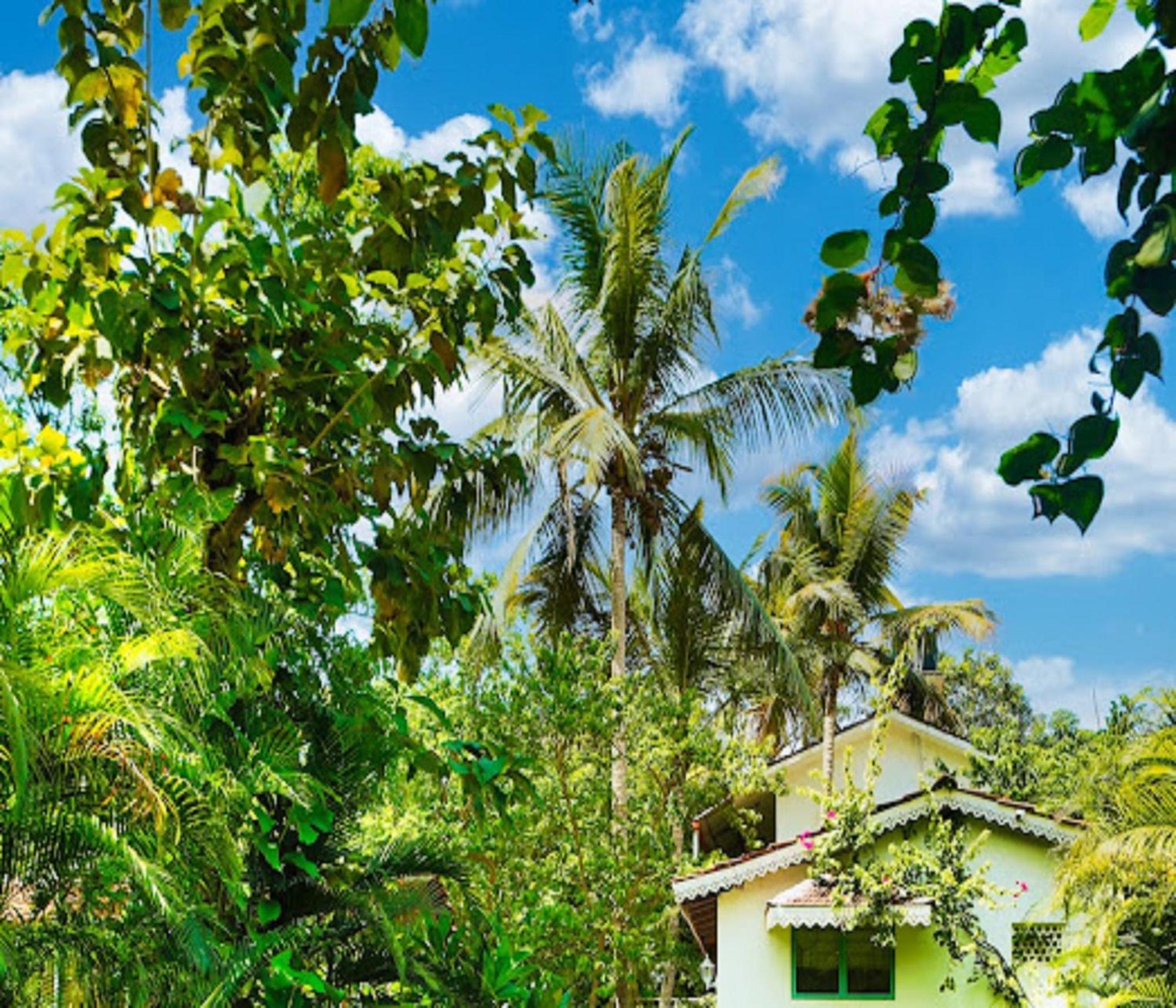 Lar Amorosa Boutique Hotel - Goa Calangute Extérieur photo